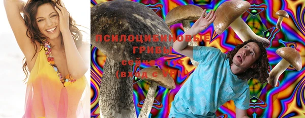 крисы Верея