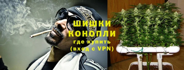 крисы Верея